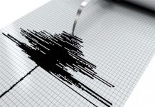 Sismo de magnitud 5 sacude el sur de Siberia