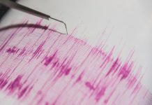 Chile: Sismo de 5,2 sin generar amenaza de tsunami