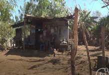 Cuba: En alerta ante anómala situación sísmica