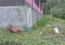Asesinan a machetazos a dos hombres en San Ramón