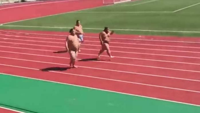 sumo