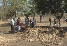 Tecnológico Nacional realiza taller en Nandaime