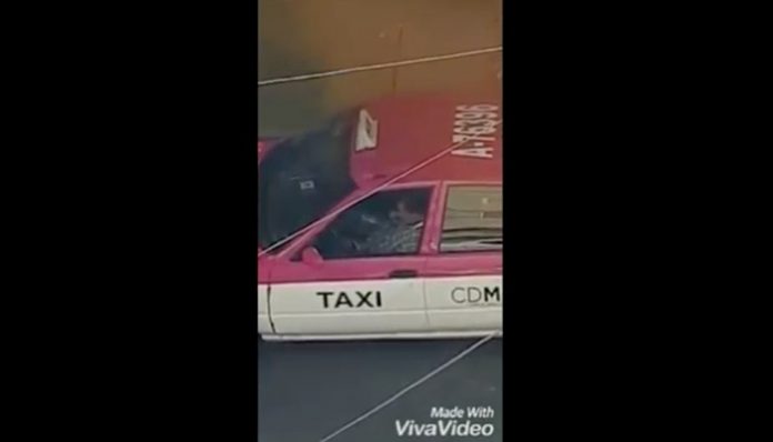 taxista-cochino