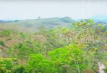 Reforestación en Boaco con plantas de Teca (Video)
