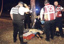 Motociclista tico pega contra árbol y se va al otro mundo