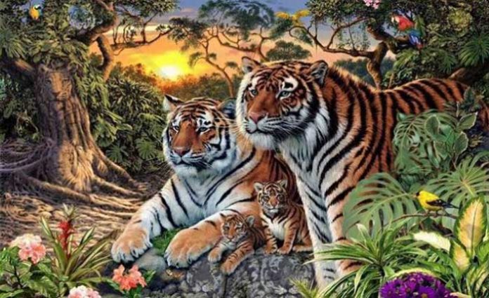 tigres-portada-1