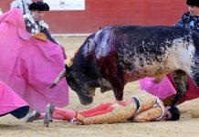 España: Denuncian ofensas en redes sociales contra torero muerto