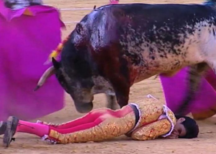 torero