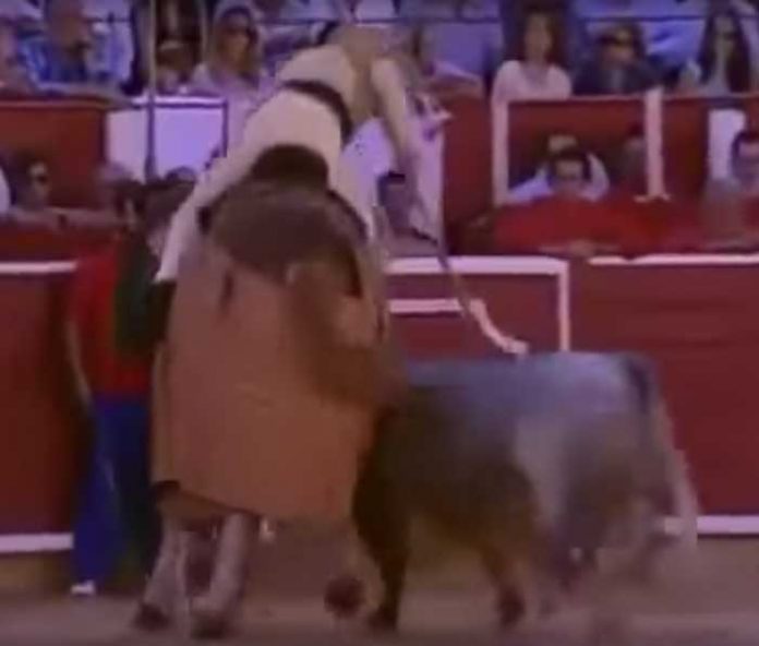torero