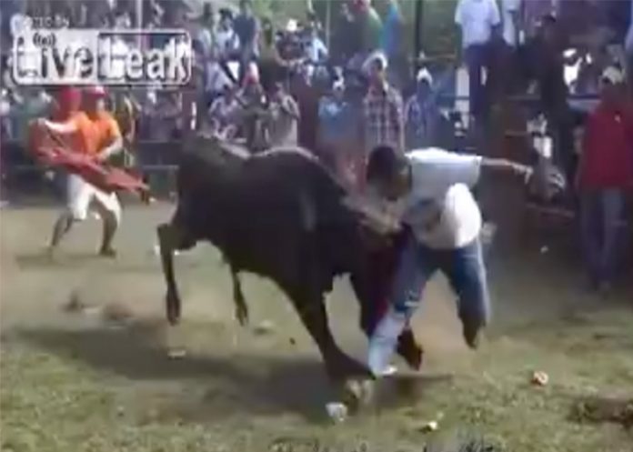 toro