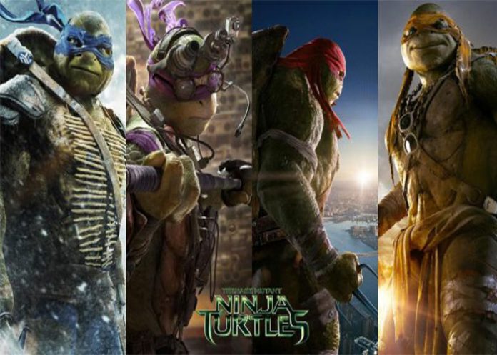 tortugas