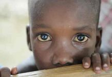 haiti, trata de personas, niños,