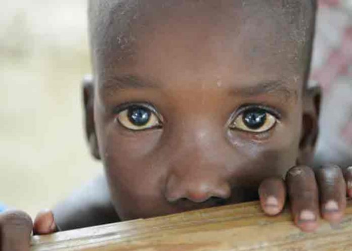 haiti, trata de personas, niños,