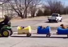 Hombre de 80 años construyó un trencito para perros