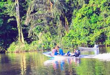 Costa Rica: Violan a turista en parque Tortuguero