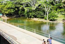 Turista de EEUU fue estrangulada en Belice