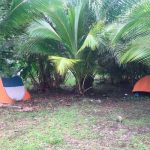 Detenido sospechoso de asesinar a mujer en Limón, Costa Rica costa rica, limon, detenido, sospechoso, asesino, mujer, cuerpo,