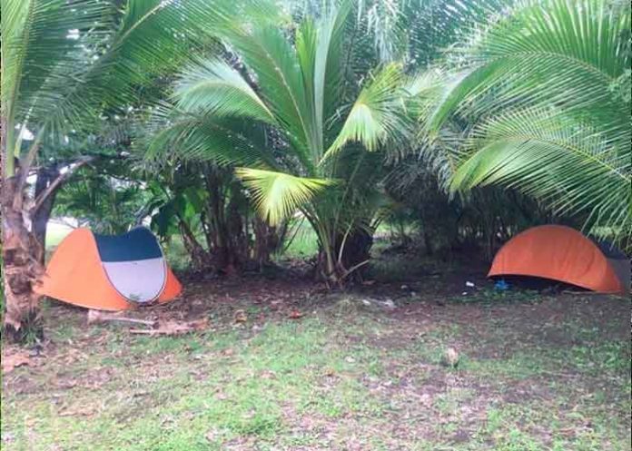 uerpo costa rica, limon, detenido, sospechoso, asesino, mujer, cuerpo,