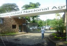 Impulsan Universidad Abierta Online en Nicaragua