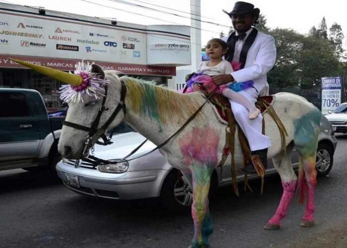 unicornio-b
