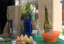 Estudiantes de la UPOLI realizan feria de técnicas novedosas