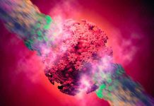 chile, coronavirus, virus, variante delta,
