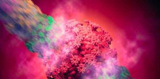 chile, coronavirus, virus, variante delta,