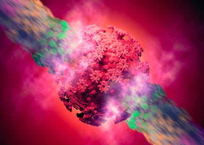 chile, coronavirus, virus, variante delta,