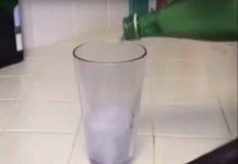 Este es el único vaso en el cual no podrás beber cerveza