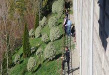 España: Mujer muere al caer de una ventana