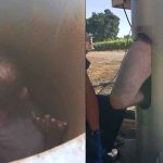 estados unidos, california, ventilador, drogado,