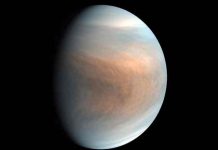 estados unidos, ciencia, espacio, venus, nasa,