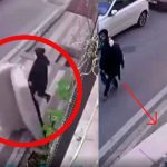 video, viral, sofa, caida, muerte, criticas, incidente,