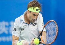 David Ferrer gana el torneo Erste Bank en Viena