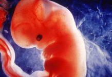México: niegan aborto a niña que fue violada