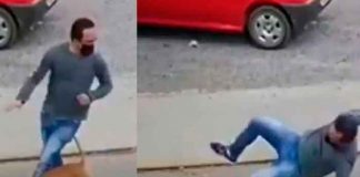 viral, redes sociales, insolito, atropello, perro, peaton, video, mundo,