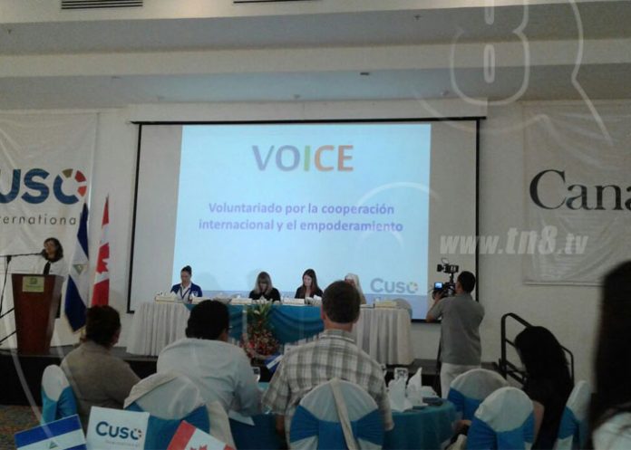 voice