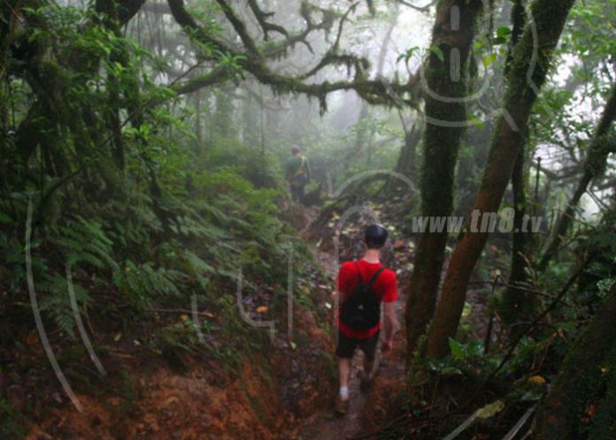 volcan