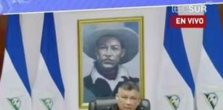 nicaragua, wilfredo navarro, injerencia