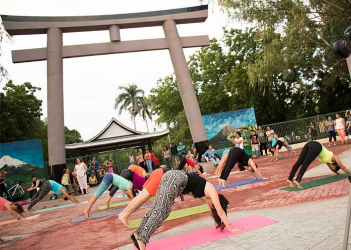 yoga6