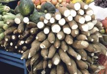Costa Rica: Extracción de yuca en hospital impacta ventas