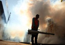 Primer caso de zika en España, mujer que viajó a Honduras