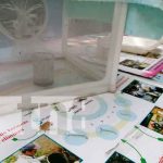 nicaragua, managua, zancudos, fumigacion, eliminacion,