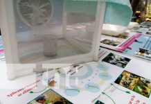 Eliminan criaderos de zancudos en el barrio Macarally de Managua nicaragua, managua, zancudos, fumigacion, eliminacion,