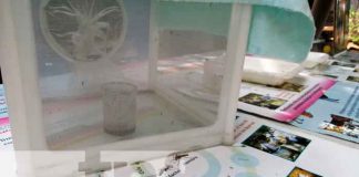 nicaragua, managua, zancudos, fumigacion, eliminacion,
