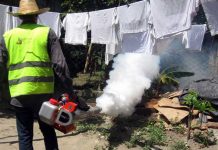 Honduras: «Súperzancudo» transmite 4 enfermedades a la vez