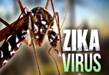 Primer caso de zika confirmado en Corea del Sur