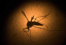 Puerto Rico: Mujer contagiada de zika da a luz a bebé sano