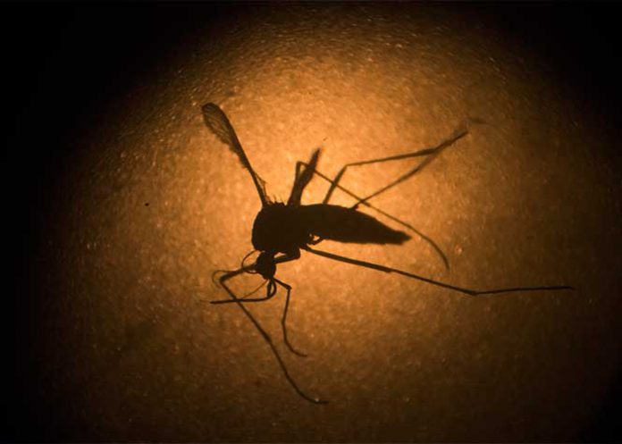 zika
