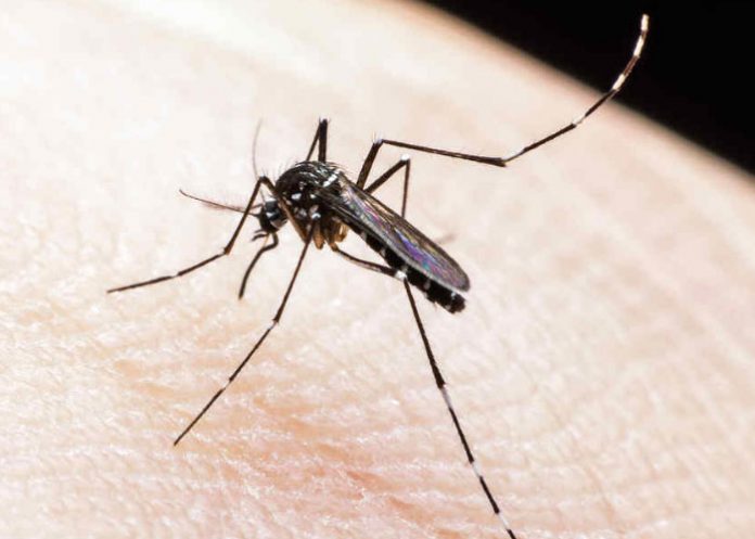 zika